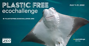 Join the movement to refuse single-use plastics with Plastic Free Ecochallenge!
