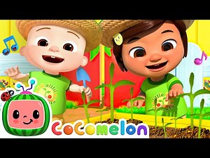 Gardening Song en Español! Learn Spanish con CoComelon Nursery Rhymes