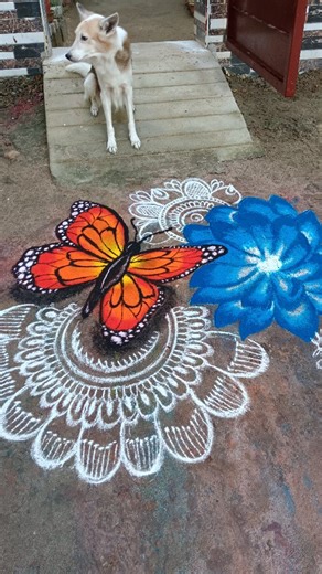 Sangeetha Chinnadurai on Instagram: "Rangoli dreams, fluttery themes 🌼🦋 Margazhi series Day 11 💫 #rangoliart #butterflyart #flowerpower🌸 #trendingart #rangolidesigns"