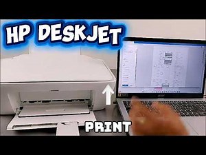 How to Print from Computer to HP Deskjet Printer | Documents & Photos