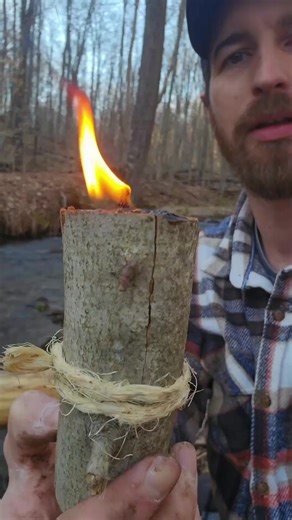 Making a primitive candle with spruce resin, a tree branch, and twine #bushcraft #outdoors #camping #survival #primitiveskills #selfreliance #offgrid | Bushcraft Life