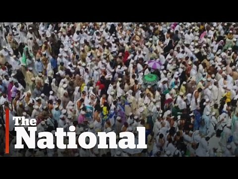 Hajj stampede kills hundreds of pilgrims near Mecca