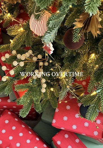 Effortless Cleaning with iRobot Roomba: Pet Hair Solutions