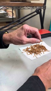 39K views · 426 reactions | Ever wonder how a guitar rosette takes shape? Here’s a quick look behind the scenes at the Breedlove Custom Shop as one comes to life. | Breedlove Guitars | Facebook