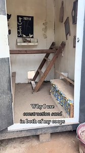 What do you use in your coop I use contruction sand. I might try hemp bedding next! 🐓 #chickensoftiktok #backyardchickens #crazychickenlady #farmlife #chickens #homestead #hen #chickenlover #sand #coop #bedding | Homestead Hacks