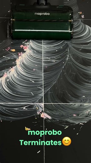 This is a cleaning war: moprobo VS steam mop