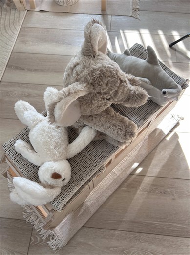 This shed will either be for my business or storage for my pet supplies 🐰 #petsoftiktok #hamster #foryoupage #rabbitsoftiktok #pets