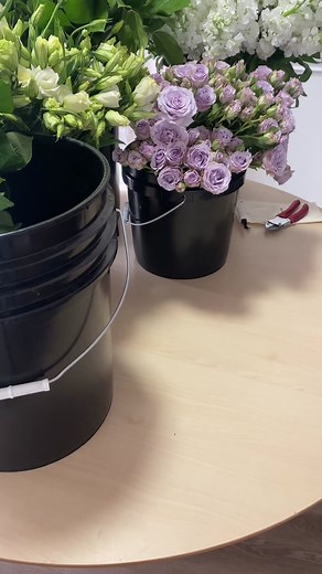 Relaxing Flower Prepping - Slow Morning ASMR