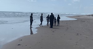 Pánico en una playa: hallaron una impactante criatura y nadie sabía que era