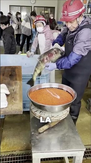 This Is How Salmon Are Raised From Egg To River! 😱