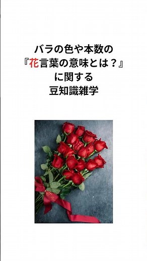 バラの色や本数の『花言葉の意味とは？』に関する豆知識雑学 #バラ #豆知識 #shorts