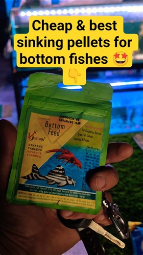 Cheap & best sinking pellets 🤩 #fish #rtc #shortsviral #viralvideo #ytshorts #shorts #trending
