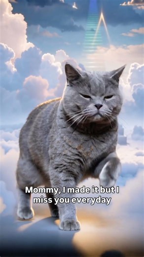 A Soft Goodbye for Pearl 🌸