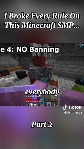 Breaking Every Rule in Minecraft SMP