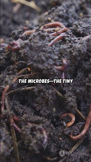 Speed Up Kitchen Waste Decomposition With This Simple Trick (Make Compost in Days) | Seedly 🌱