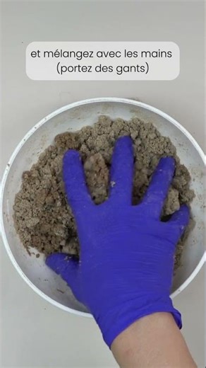 🧪🦟 Test de l’encens anti-moustiques maison devenu viral 🧨✨