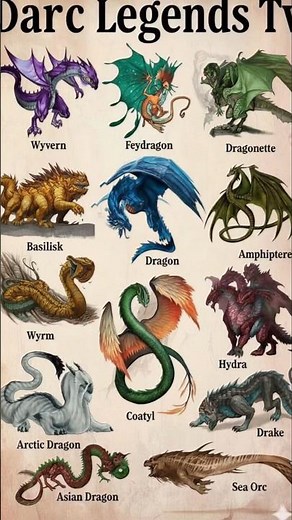 “12 Legendary Dragon Types You’ve Never Seen Before! 🐉🔥 | Epic Mythical Creatures”