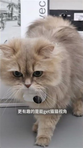 This Mini Vlog Camera Is Every Creator’s Dream! 🤍📸 | Pocket 4K Power #shorts