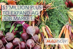 $1M  in Federal Funding Available for Hawaiʻi Small Business Loans | Maui Now