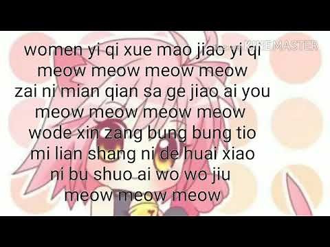 Learn to meow meow lyrics 💓
