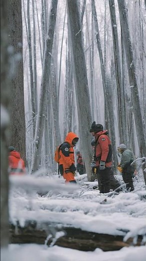 Frozen Forest Unearthed With Trees Still Standing Upright