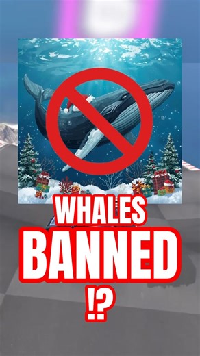 WEIRDEST LAWS of ALL TIME 6 #funny #ranking #relatable