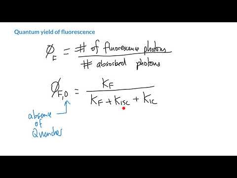Quantum yield of fluorescence
