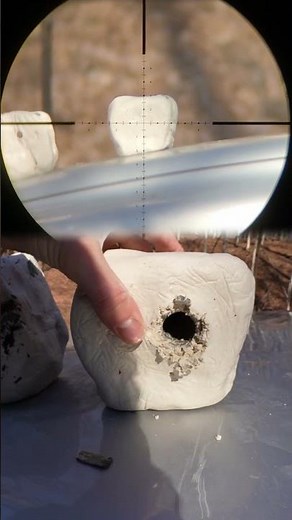 Explosive Pellets! #hunting #wildlife #shorts