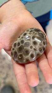 64K views · 3.3K reactions | My grandson Joe and I went out rock hunting, and Joe found a very nice Petoskey stone. He asked me to polish it up for him, so I did. | Michigan Rocks | Facebook