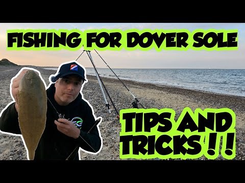 How to Catch Dover Sole! | Matt Crowe’s Ultimate Surfcasting Tips