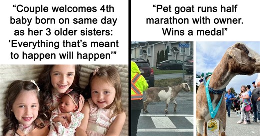 50 Positive Headlines That Might Bring Some Sunshine To Your Day (New Pics)