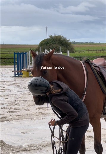Mastering Equestrian Jumping Techniques