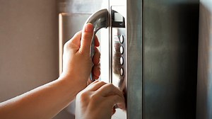 New study finds hardy bacteria that withstand microwave heat