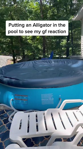 Putting an alligator in our pool and this happened #foryou #foryoupage #tiktok