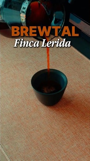 Natural Catuai Pour Over | UFO Dripper & Chill Extraction Recipe | Specialty Coffee Brewing