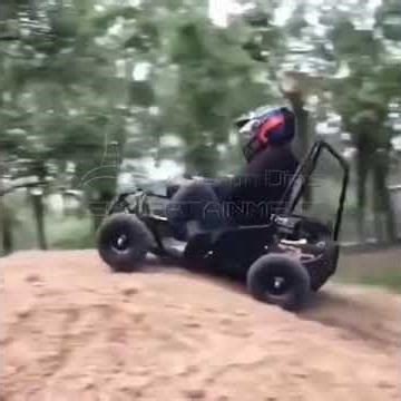 Electric & Gas Powered Go Karts for Amusement Parks - Hot Theme Park Ride