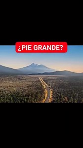32K views · 598 reactions | ¡PIE GRANDE ESTÁ DE REGRESO! #piegrande #bigfoot #elpiegrande #criptozoologia #bigfootisreal | Expediente Alien | Facebook