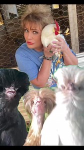 43K views · 869 reactions |  | Red Squirrel | Facebook