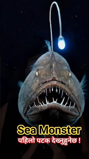 The Anglerfish: The Deep Sea's Most Terrifying Predator! #facts #anglerfish #nepalifacts