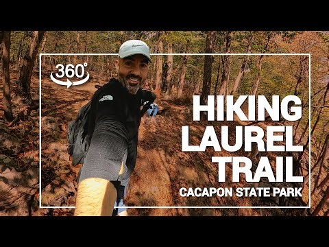 Walk With Us Through West Virginia Forest 🌲 360 VR Hiking Experience