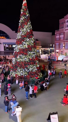 ✨The holiday season begins at Atlantic Station on November 22 at 4 PM with Light the Station! 🎄🥳 Enjoy the annual holiday parade, a lively tree-lighting ceremony, and plenty of other festive surprises! 🧑‍🎄 Follow me for more adventures! #HolidaySeason #HappyHolidays #FestiveVibes #WinterMagic #HolidayFun #AtlanticStation #LightTheStation #AtlantaEvents #AtlantaLife #AtlantaHoliday #HolidayParade #TreeLighting #ChristmasTree | Shopping.muse89
