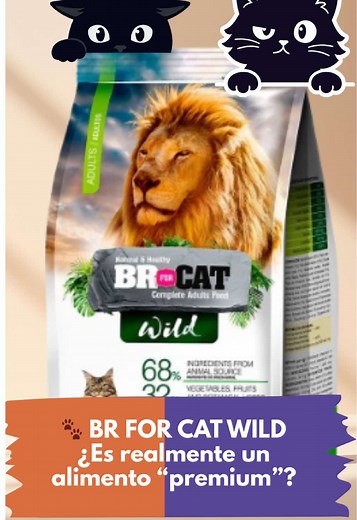 BR For Cat: Comida de Gato Económica y de Calidad