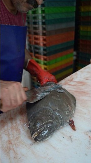 From Weird to Wonderful: Cleaning & Filleting a Flounder Like a Pro!