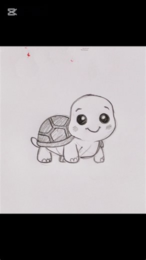 How to draw a Turtle