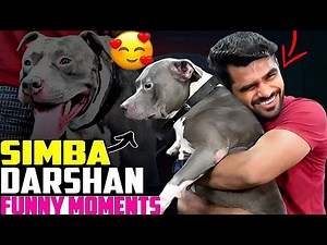 🐶 Simba Darshan Funny Moments 2025 😂 | ShreeMan Legend & His Dog