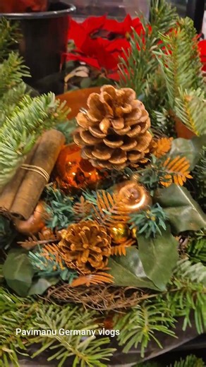 Wunderschöne Blumen und sämtliche Weihnachtsdekorationen sind im Rewe Supermarkt Gallus erhältlich🫶🏻