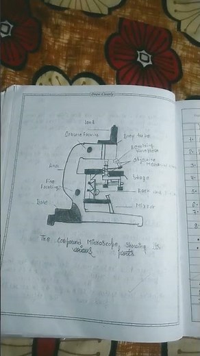 Class 11 Cbse Bio Lab manual pratical work Experiment 1 Section B