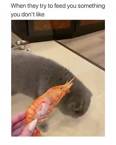 11K views · 131 reactions | when you smell something you don't like: | Yoins Style | Facebook