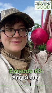 Check out a new episode of our podcast, "Hobby Farms Presents: Growing Good."⁠ Amy Glattly talks about gleaning, fermenting, sheep shearing and more in this episode of Hobby Farms Presents: Growing Good. Hear about the Lawrence, Kansas, food and farming scene. Amy talks about how they and fellow farmworkers started a totally volunteer-run gleaning program that donated 3,000 pounds of produce during its first season and involved multiple farmers, restaurants and food-access organizations. Learn a