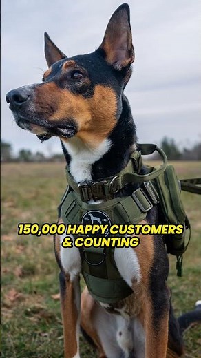 NEW Tactical No-Pull Dog Harness